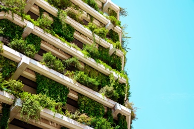 Tall building with green plants overflowing