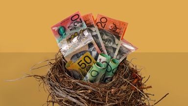 A bird’s nest made from twigs and dried plant material sits against a plain golden background, filled with Australian banknotes and rolled-up notes. Visible denominations include $20, $50 and $100 notes arranged to resemble valuable items stored within the nest. The conceptual image combines natural nesting materials with money to symbolise savings, wealth accumulation, financial security or long-term investment
