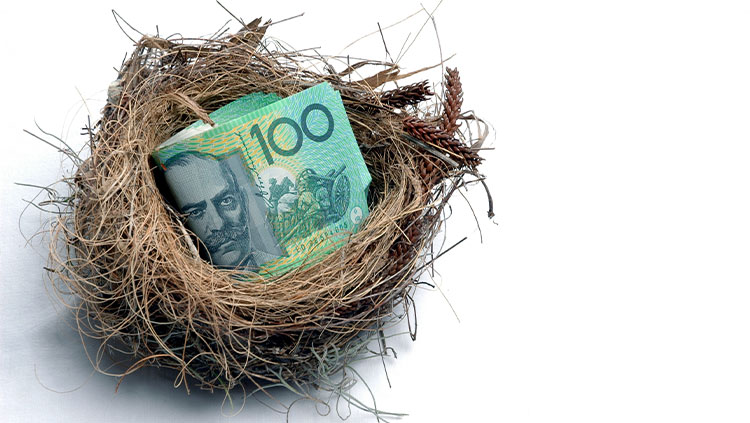 Birds nest with money