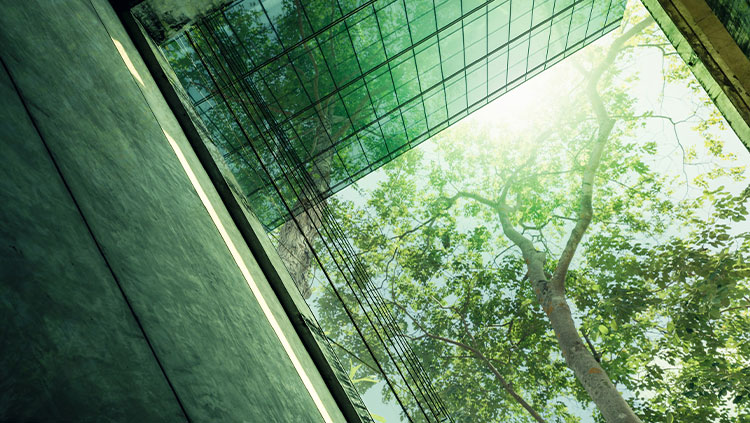 Green building with tree in middle