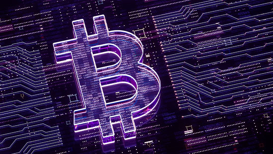 Data bitcoin icon