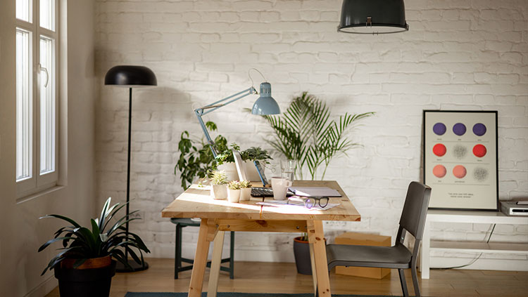 Home office desk indoor plants