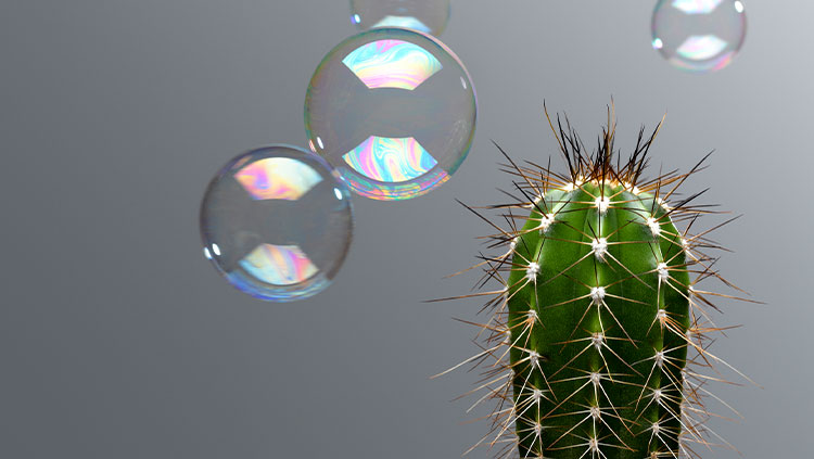 Bubble floating near cactus
