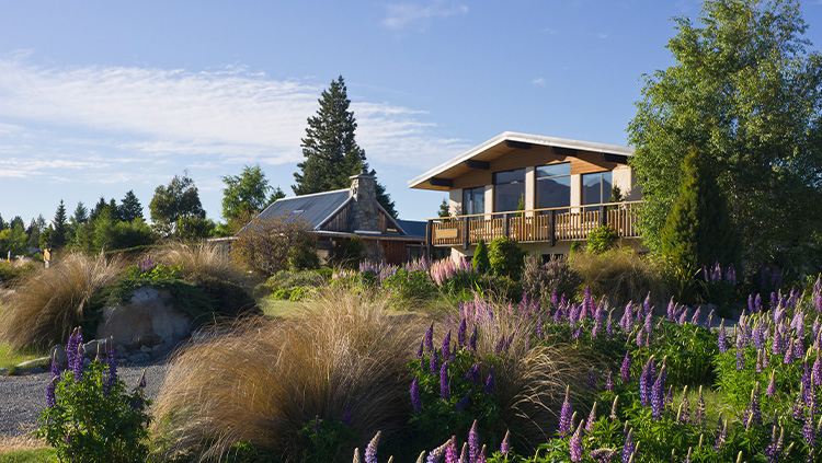 Modern timber-clad villa set within a landscaped native garden, surrounded by tall ornamental grasses and purple flowering plants. Large floor-to-ceiling windows and a spacious deck overlook the lush greenery, with mature trees and a clear blue sky creating a peaceful rural setting.