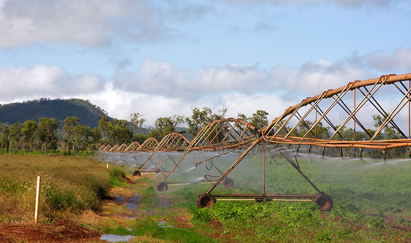 Paddock irrigation system