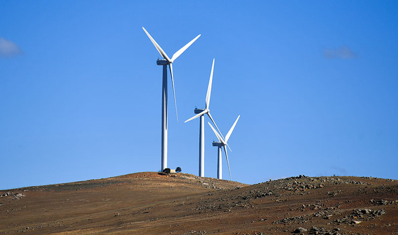 windmill