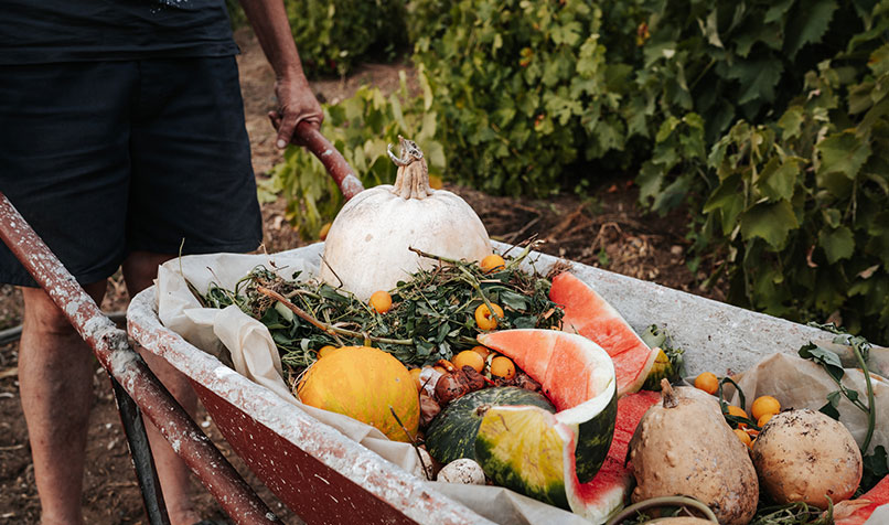 wheel barrow