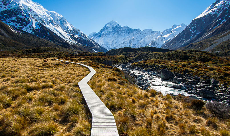 Mountain footpath new zealand