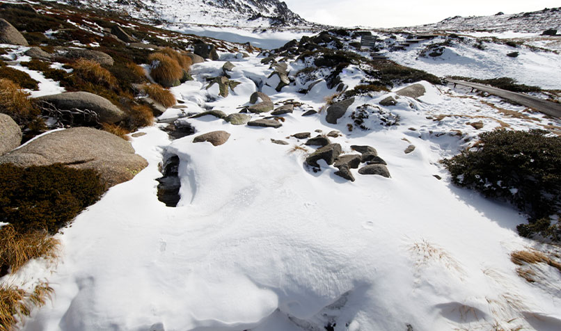 Snowy Mountains in NSW