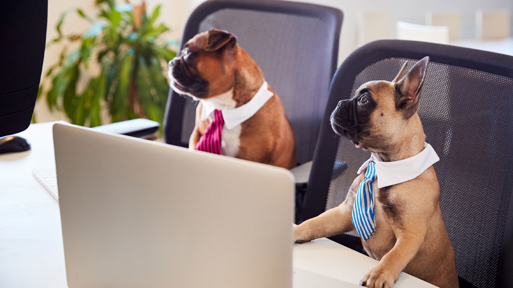 Interruption cost How desk bombing affects productivity INTHEBLACK