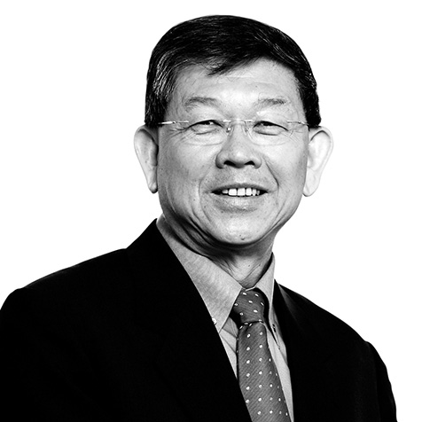 Professor Lee Sing Kong