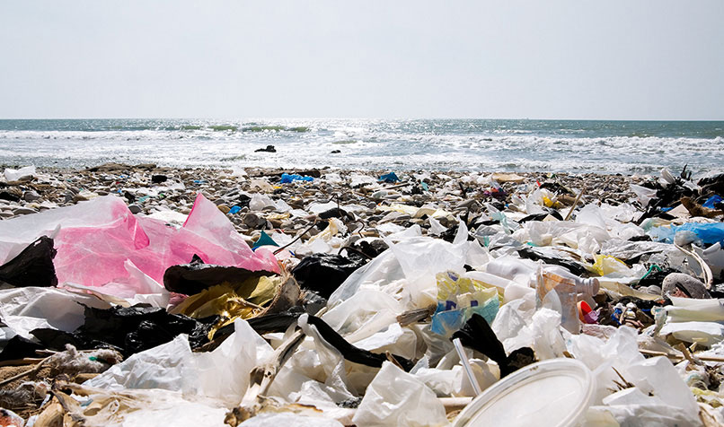 Volunteers clean up a polluted beach.