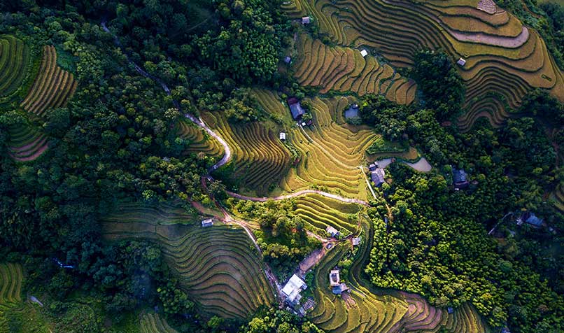 Vietnam landscape