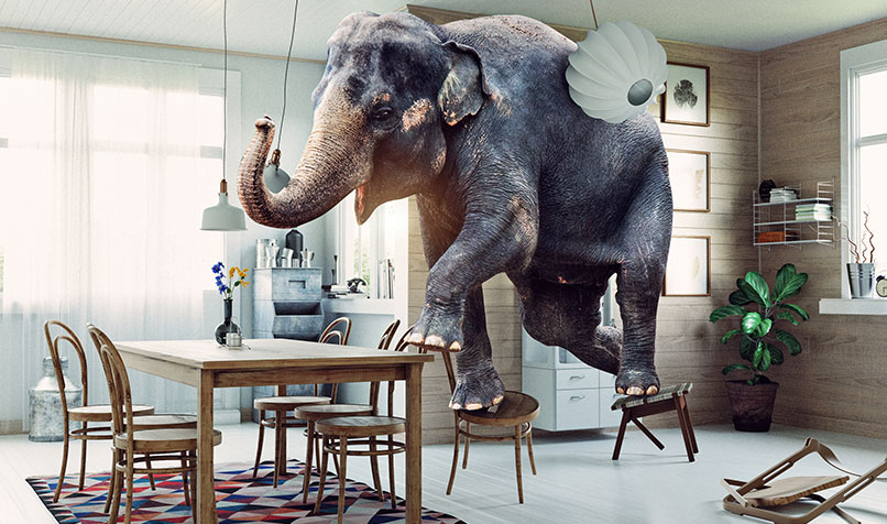 elephant balancing chair