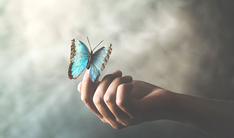 Hand holding butterfly cloudy