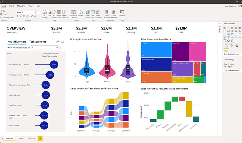 ms power bi
