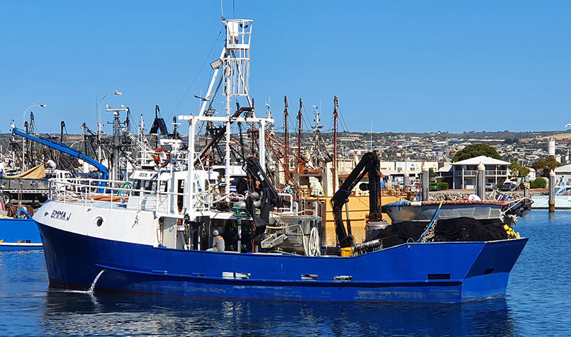 fv emma
