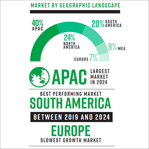 Infographic geographic landscape