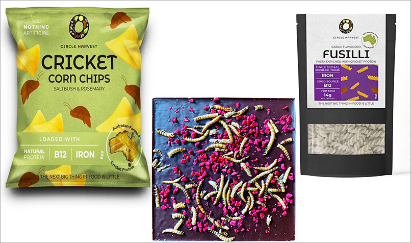 Commercial insect food