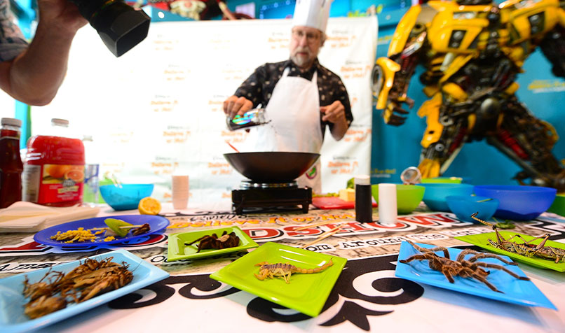 David G Gordon cooking with insect