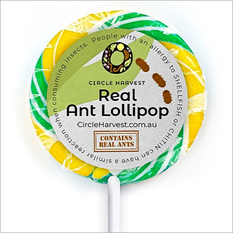 Real ant lollipop