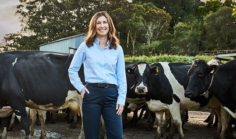 Laura Wedmaier standing cows