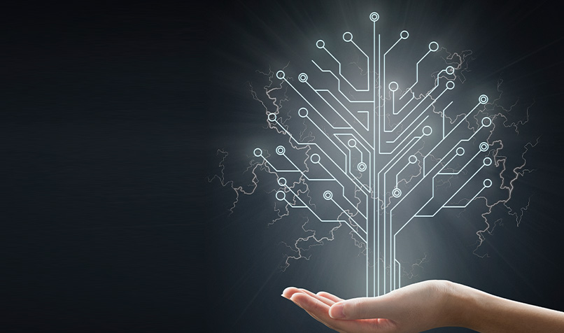 Hand holding data tree connections
