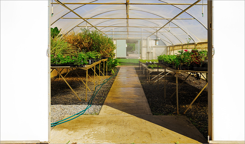 Greenshouse at SuniTafe