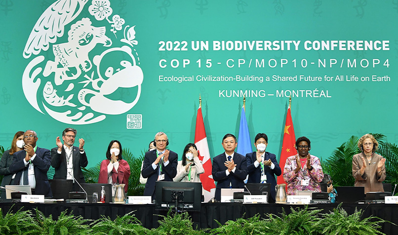 Representatives 2022 UN biodiversity conference