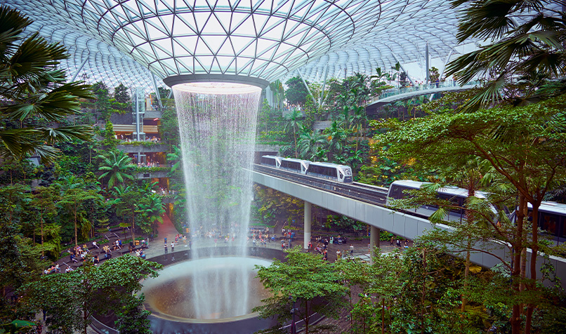 Inside the Changi airport with water cascading from a glass ceiling into a circular hole surrounded by lush greenery