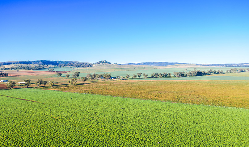 Wide view of farmland with cultivated crop fields stretching across the foreground, bordered by trees and rolling countryside under bright blue skies.