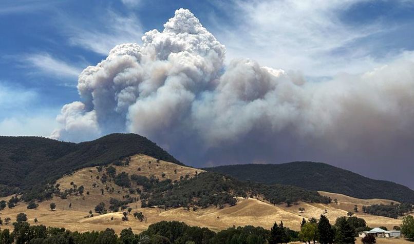 Large bushfire smoke plume rising above rolling hills and woodland near Walwa, with thick clouds of smoke filling the sky.