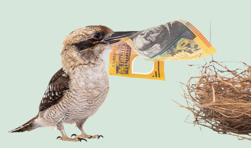 A kookaburra stands on the left side of the image holding an Australian $50 banknote in its beak, facing a bird’s nest positioned on the right. The nest is made of intertwined twigs and dried grass and appears ready to receive the note. Set against a pale green background, the conceptual image combines wildlife and money to symbolise saving, investing, building wealth or preparing financially for the future.