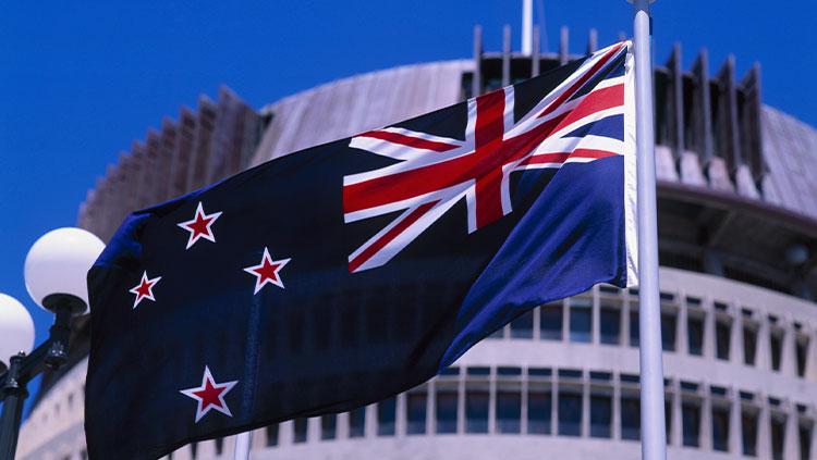 New Zealand flag- government building