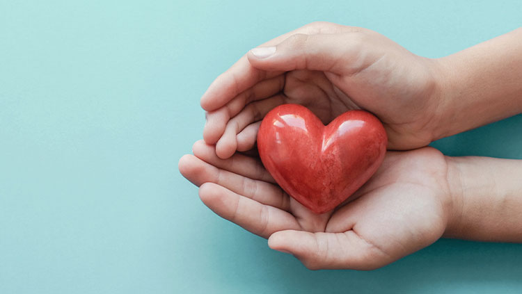 Hands holding red love heart