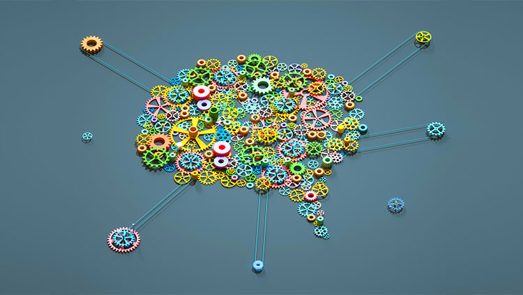 Shape of brain with colourful clogs