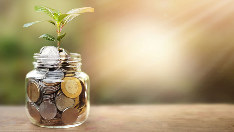 Jar with coins plant growing from top