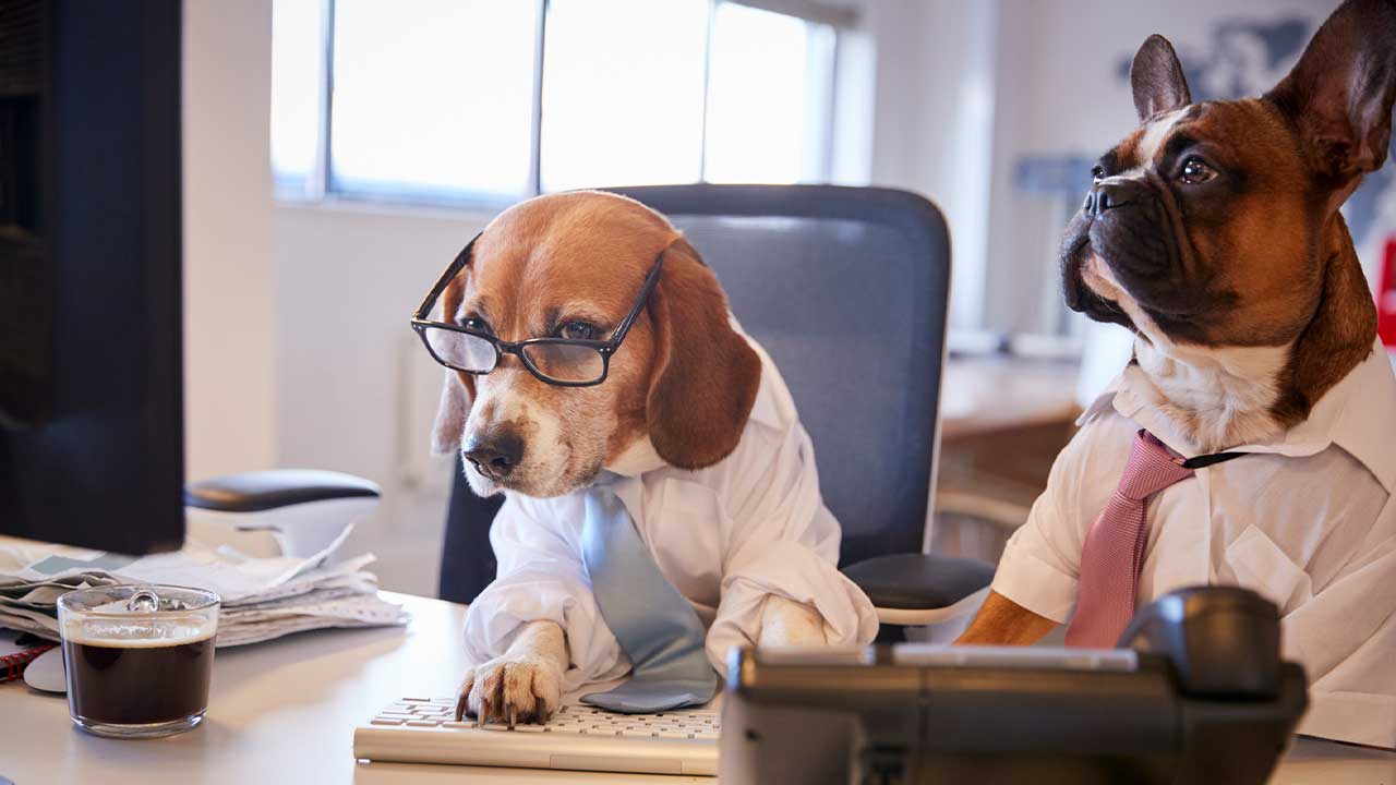 Beware of jargon: Business buzzwords we love to hate | INTHEBLACK
